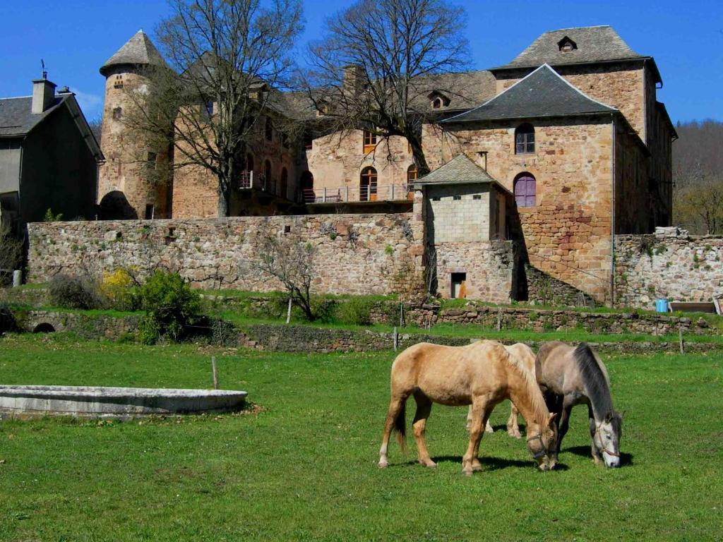 Chateau De Salelles Банассак Экстерьер фото